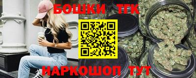 индика Пушкино