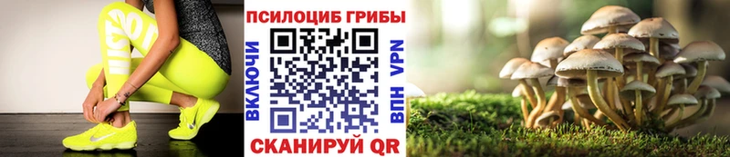 Галлюциногенные грибы Magic Shrooms  Канск 