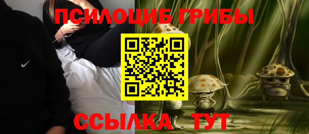 Канск  где продают   Вход с VPN  Галлюциногенные грибы Cubensis  Галлюциногенные грибы прущие грибы 